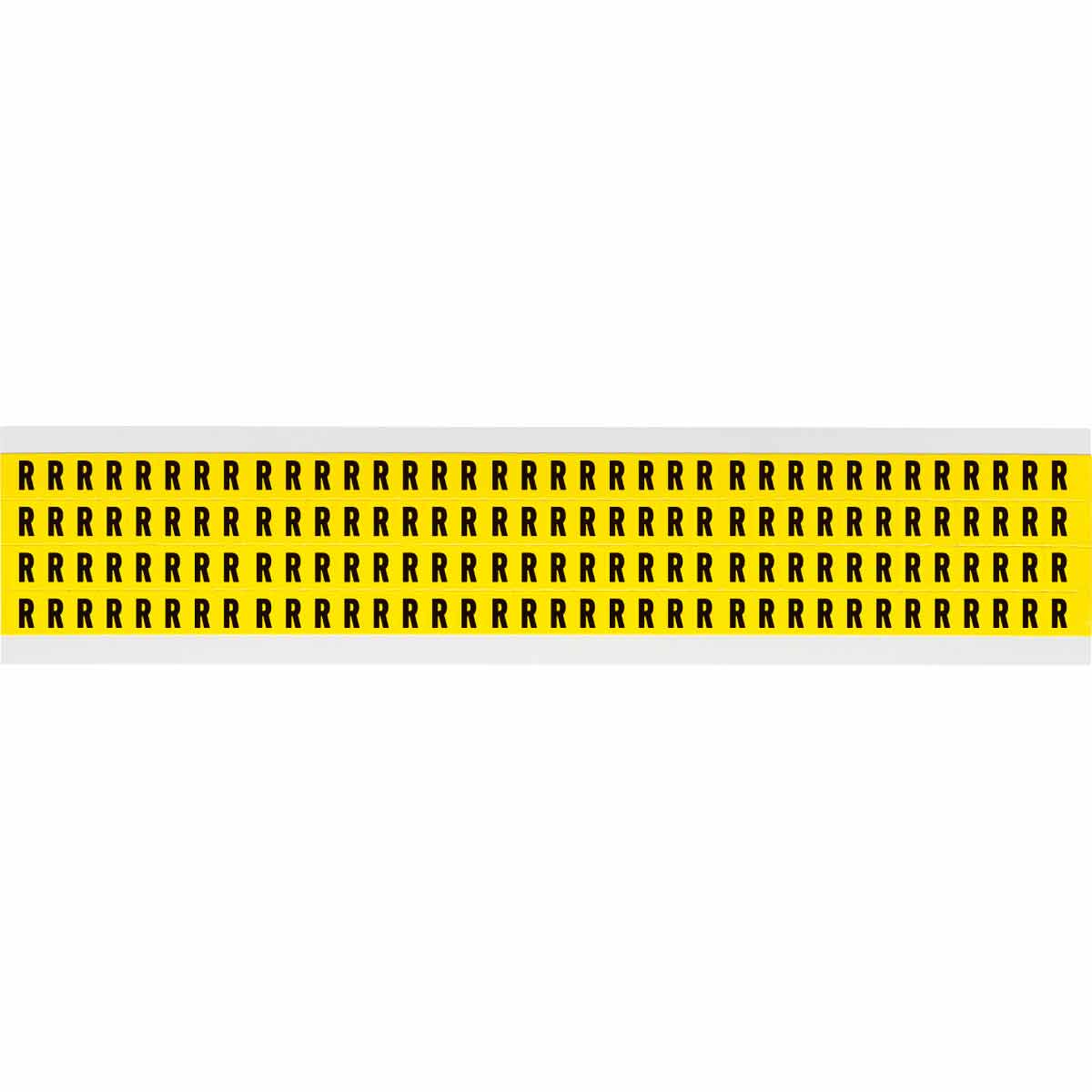 BRA34028