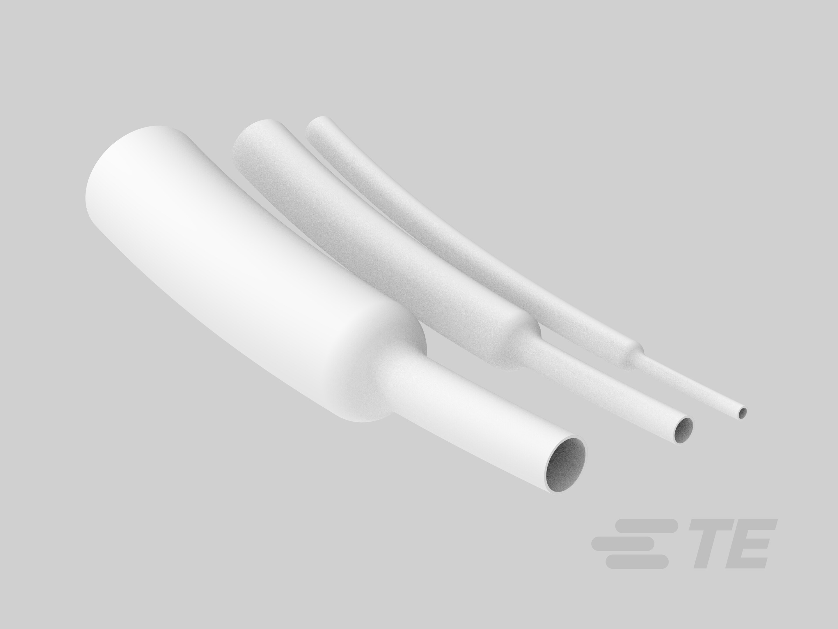 RYCCGPT_4_8_2_4_9_SP